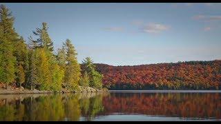 Algonquin Park: Yours to Explore (www.algonquinpark.on.ca)