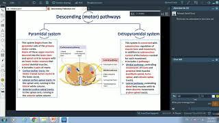 Descending Pathways-Dr.Ahmed Farid