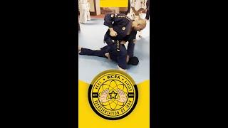 Real Aikido Self-Defense System | Master Ahad Safarzadeh