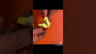 The journey from an ear mold impression to the hearing aid #hearingaids #audiologycentral