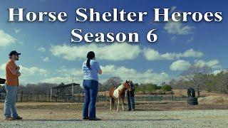 Horse Shelter Heroes | Welcome to Season 6!