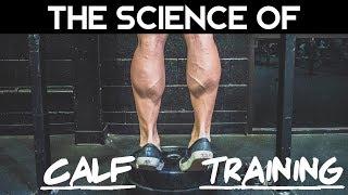 How To Build Calves Fast - Scientifically Backed