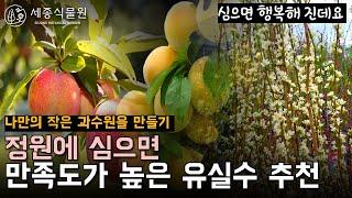 정원에 심으면 좋은 유실수 추천! 정원속 작은 과수원 #정원 #가드닝 #유실수 #식물키우기 #정원가꾸기 #묘목