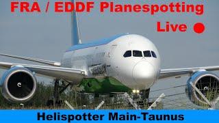 FRA LIVE  Friday morning Planespotting 18-West mit Panther