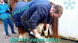farrier came today (short clips)
