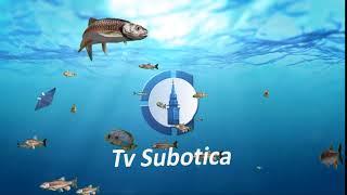 Tv Subotica Jingl Leto 2017