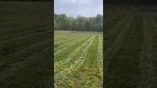 Laying STRIPES With A Ventrac TOUGH CUT! #landscaper #ventrac