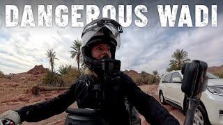 Unexpected rainfall changed everything  - SAUDI ARABIA  | S8, EP38