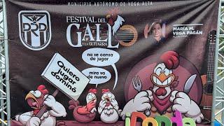 Rondalla de Vega Alta @ Festival del Gallo y la Guitarra, Oct 22 2023