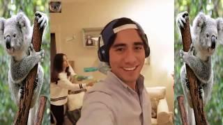 Zach King Magic Videos 2020 Compilation