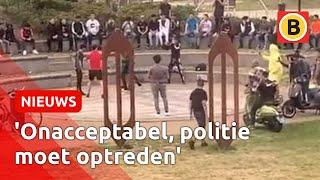 Illegale bokswedstrijden in park in Helmond | Omroep Brabant