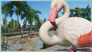 Greater Flamingo Habitat! | River Rock Zoo Remodel | Planet Zoo Slow Build [No Commentary]