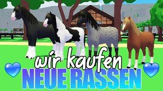 wir kaufen ALLE  RASSEN  in Horse Valley  Roblox