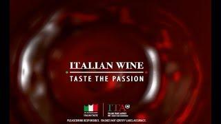 ITALIAN WINE - TASTE THE PASSION