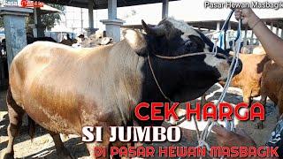 HARGA SAPI JIMBO DI LOMBOK Pasar Hewan Masbagik #sapi #sapijumbo #sapipedetan