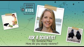 Ask a Scientist: Dr. Simone Pika - How do you study ravens?