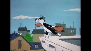 Tweety , Sylvester -name of episode "The Jet Cage"-Year of production 1962