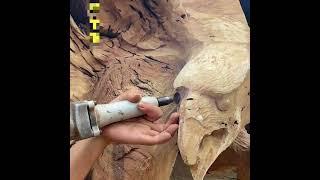 Amazing Wood Carving Eagle Projects – Majestic Handcrafted Masterpieces