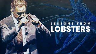 Lessons from Lobsters | Jordan Peterson