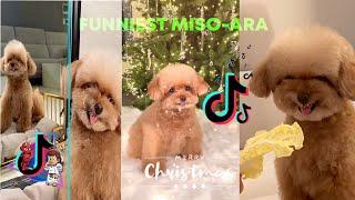 viral videos 2021 - Tik Tok Miso Ara Compilation