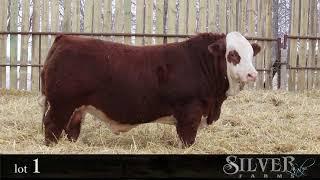 Prairie Partners Lot 1 - MARC 9J