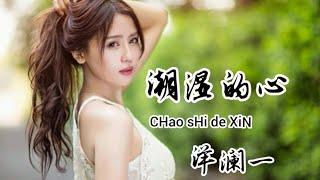 潮湿的心-洋澜一 ( chao shi de xin )