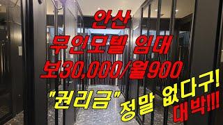 [NO.306] 안산모텔임대 23객실 권리금 없음 안산무인모텔임대