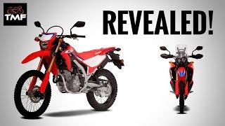 2021 Honda CRF300L and CRF300 Rally - First Look Review