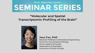 Jean Fan, PhD: “Molecular and Spatial Transcriptomic Profiling of the Brain”