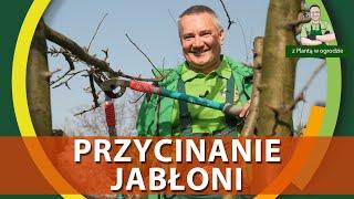 Jak przycinać jabłonie - Z PLANTĄ W OGRODZIE