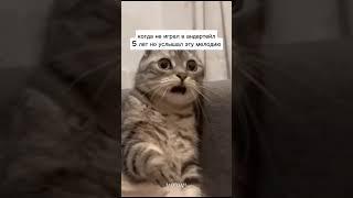 Флэшбеки #андертейл  #настаблук #мем #atomicheart #doom #funny