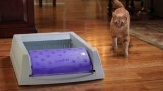 Petsafe Scoop-Free Litter Box