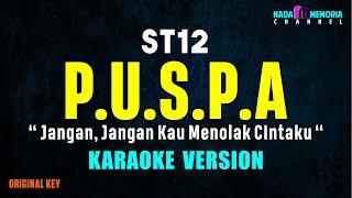 ST12 - Puspa (Karaoke Version)