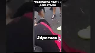Подросток в Ставрополе расчленил котенка ради видео в Tik-Tok