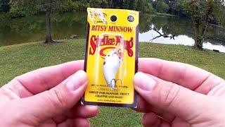 Strike King Bitsy Minnow VS Gulp Alive Minnow - Fishing With Minnows!