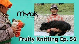 mYak Tibetan Fiber - Ep. 56 - Fruity Knitting