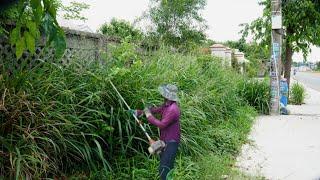 The overgrown sidewalk was beautifully transformed by a superhero in a purple outfit cleaning it up