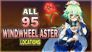 All 95 Windwheel Aster Locations - Efficient Farming Route - Bennett Ascension Material | Genshin