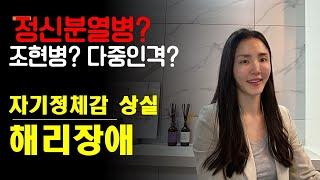 조현병 정신분열병 해리장애 해리성정체감장애 해리성기억상실증 자아 자기정체성