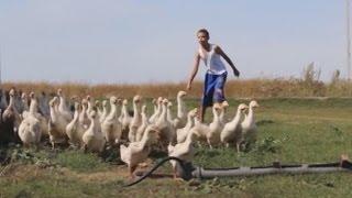 Глаголица
