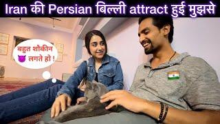 Persian  fell in Love with Indian | Iran girl vlog Tehran | Tehran tourist places | Cat Iran vlog