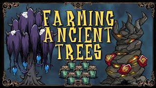 HOW TO GET EXOTIC TREES WITHOUT BOTTLE SAILIING | Don't Starve Together Guide