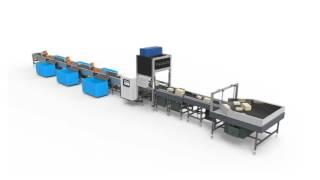 Linear Arm Sorter for E-commerce Parcels and Logistics by Falcon Autotech