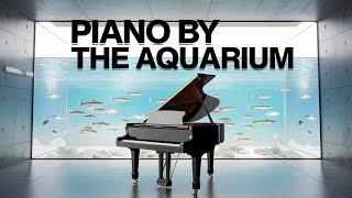 Aquariums And Piano Music.  A Relaxing Combination.