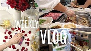 WEEKLY VLOG 14 | 第一次吃海底捞 「钻戒」 我的冰箱里有什么