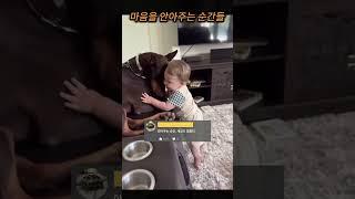 사랑은 말보다 행동으로… 강아지와 아이의 포옹