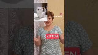 Животные и их детеныши