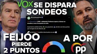 ¡VOX SE DISPARA EN SONDEOS, HAY QUE SUPERAR AL PP DE FEIJÓO Y ABASCAL DEBE GOBERNAR! ¡FUERA PP-PSOE!