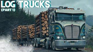 Log Trucks New Zealand (Marlborough) 4K!!!  PART 1