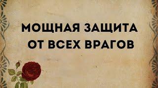 МОЩНАЯ ЗАЩИТА ОТ ВСЕХ ВРАГОВ.